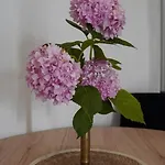 Tripalo Διαμέρισμα