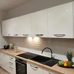 Tripalo *