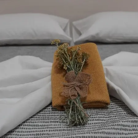 Tripalo Apartament