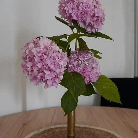 Tripalo 아파트
