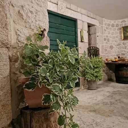 Tripalo